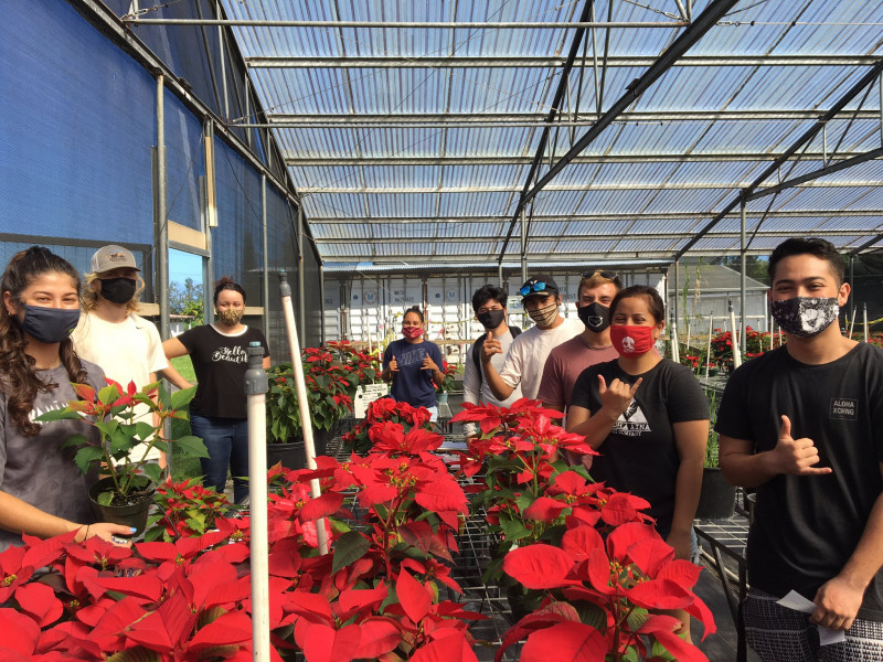 Image from College of Agriculture Farm greenhouse. Brianna (on far left) along with other classmates pose with the poinsettias propagated in class.