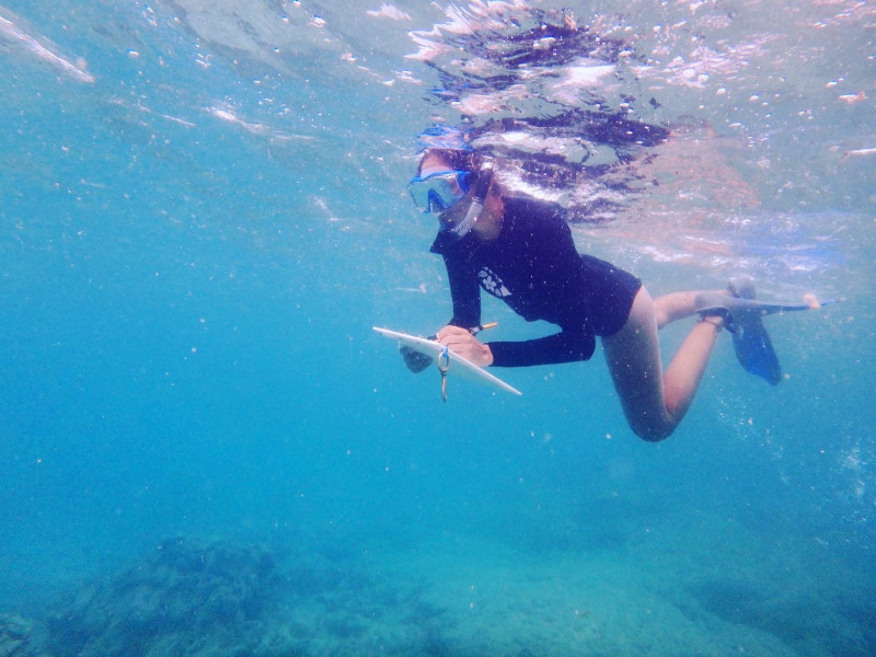 Carmelle in the water doing research