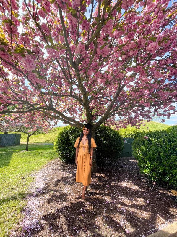 Full length photo in a mustard yellow dress standing infront of a beautiful pink tree