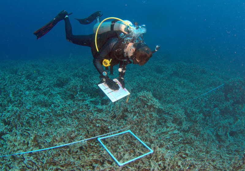 Grant Sanderson performing a benthic cover survey during a scientific dive