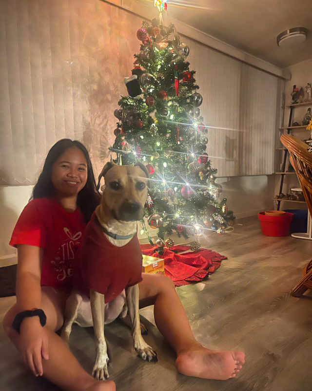 A christmas photo of my dog and I next to our christmas tree.