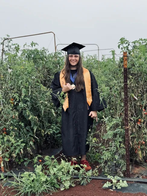 Here I am in the tomatoes fields in Waiawa.