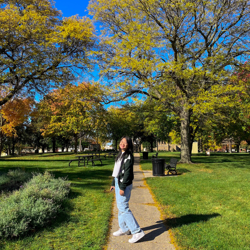 I took this picture at a park in Beloit, WI, when the trees turn yellow in the fall.